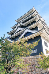 Naklejka premium 福山城と青空｜縦構図