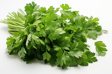 Fototapeta premium Fresh bunch of cilantro ready for culinary use in vibrant dishes and garnishes