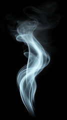 Obraz premium Elegant Flowing Smoke in High Definition