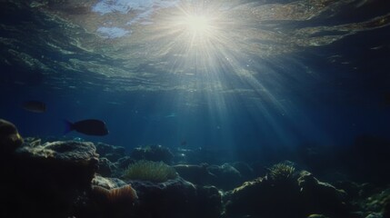 Fototapeta premium Underwater sun rays through water, coral reef, marine life.