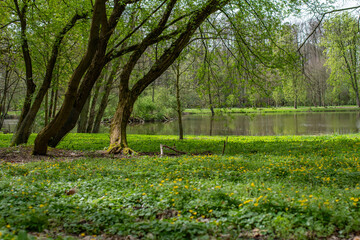 Park