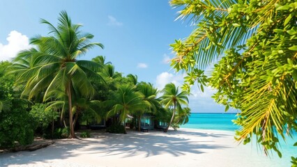 Escape to Paradise: Tropical Beach with Crystal Blue Waters and Lush Palm Trees, Perfect for Vacation and Relaxation