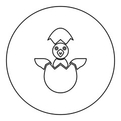 Chicks hatch from the egg baby bird cracked eggshell icon in circle round black color vector illustration image outline contour line thin style