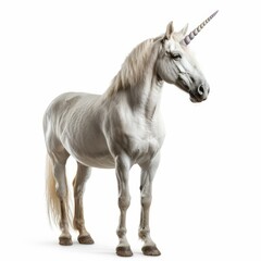 Obraz premium Studio shot of a beautiful white unicorn horse standing against a white background
