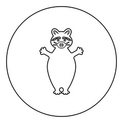 Raccoon icon in circle round black color vector illustration image outline contour line thin style
