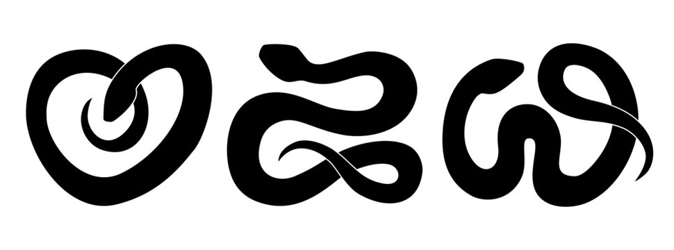 Snake silhouette isolated on white background. Set of black snakes. 2025 Chinese New Year symbol. Vector illustration