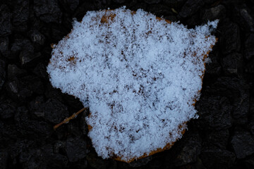Śnieg