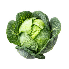 Fototapeta premium Green Cabbage Fresh Vegetable Isolated Black Background