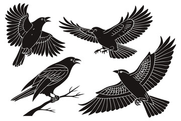 Obraz premium Set of black bird silhouettes. Vector elements for design.