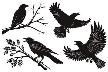 Obraz premium Set of black bird silhouettes. Vector elements for design.