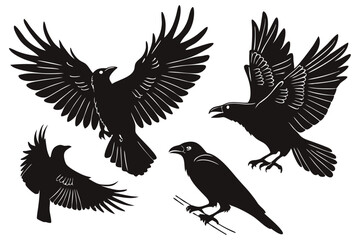 Obraz premium Set of black bird silhouettes. Vector elements for design.