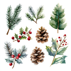 Fototapeta premium Watercolor winter botanical illustration 