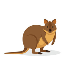 Quokka isolated flat vector illustration on white background.