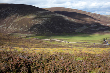 Fototapeta premium Hiking trail to Mount Keen from Glen Tanar - Aberdeenshire - Scotland - UK