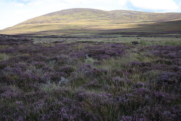 Hiking trail to Mount Keen from  Glen Tanar - Aberdeenshire - Scotland - UK