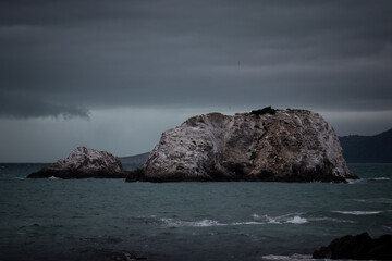 Rocks in the sea, kaikoura, new zealand