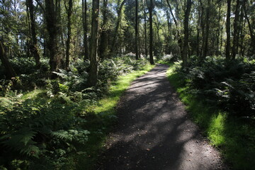 Loch Leven Heritage Trail - Bishop hill - Kinross - Perthshire - Scotland - UK