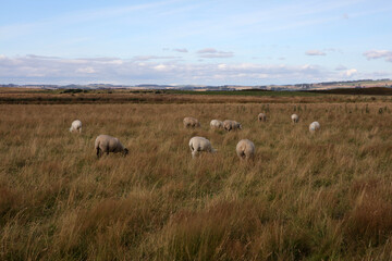 Loch Leven Heritage Trail - Bishop hill - Kinross - Perthshire - Scotland - UK