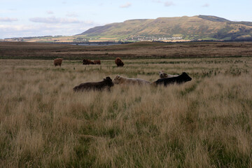 Loch Leven Heritage Trail - Bishop hill - Kinross - Perthshire - Scotland - UK