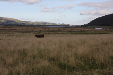 Loch Leven Heritage Trail - Bishop hill - Kinross - Perthshire - Scotland - UK