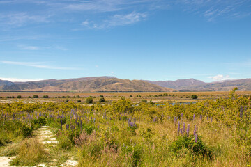 landscape in the mountains