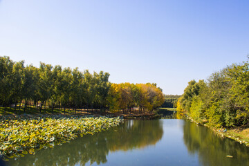 autumn in the olympic park china