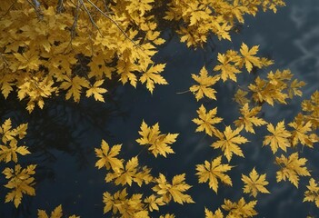The delicate leaves of a yellow-leaved tree create a beautiful pattern on the surface of the lake, serenity, wilderness