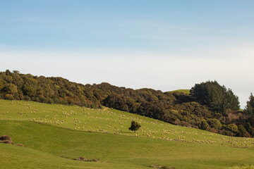 landscape with mountains and sky rural new zealand
