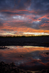 sunset with reflection on ground new zealand