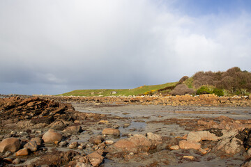 volcanic landscape country rural new zealand beach