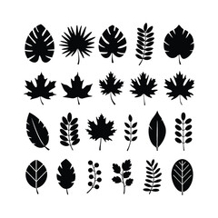 Black silhouettes of tropical palm leaves isolated on transparent background. Exotic plants leaves set