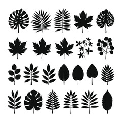 Black silhouettes of tropical palm leaves isolated on transparent background. Exotic plants leaves set