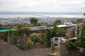 Allotments on the hill of Dundee Law with view on the city - Dundee city - Angus - Scotland - UK