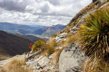 landscape in the mountains
