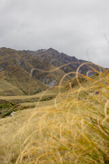 landscape in the mountains