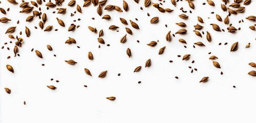 Isolated Cumin Seeds Falling on a White Background