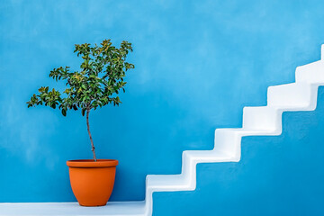 Obraz premium : Minimalist Modern Architecture with a Terracotta-Potted Tree