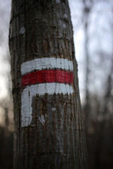 GR sign for turning - Grande randonnee sign on tree - Forest near Gambaiseuil - Yvelines - France