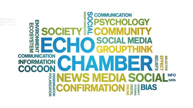 Echo Chamber animated word cloud;text design animation tag kinetic typography seamless loop.