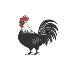 Fototapeta premium Monochrome rooster illustration, side profile, detailed feathers, red comb.