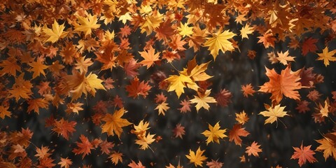 Abstract background of falling maple leaves with a sense of movement, seasonal change , background, colorful