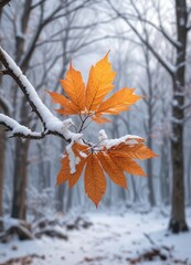 Snowy forest with a dry leaf on a bare tree branch, winter wonderland, frosty landscape, tree branch