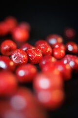 Red cherries on the black background