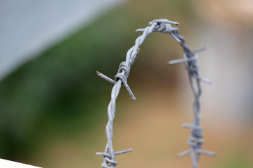 Barbed fenced wire