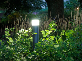 Glowing Garden Light Illuminating Lush Green Plants and Tall Grasses at Dusk