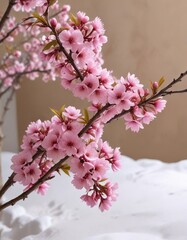 Obraz premium Pink blossoms in full bloom adorn a sturdy branch against a snowy white backdrop with a warm light brown wall at the edge of frame , light brown wall, full bloom pink blossoms, lush flowers