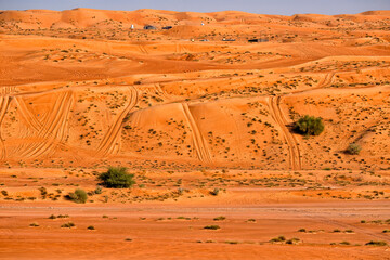 Oman. Wahiba Desert. Golden sand dunes. Summer travel and tourism