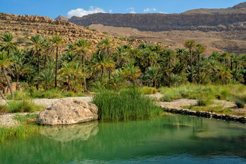 Oman. Oasis Wadi Bani Khalid. Lagoon with fresh emerald water and beautiful rocks