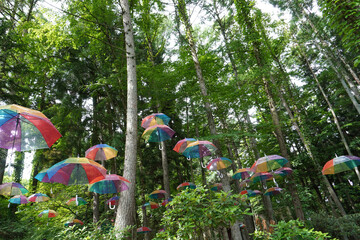 空中のカラフルな傘