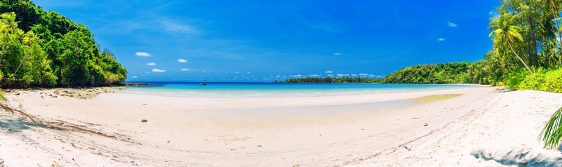 Nature panoramic landscape: Amazing Panorama sandy tropical beach with coconut palm tree and crystal clear sea water
